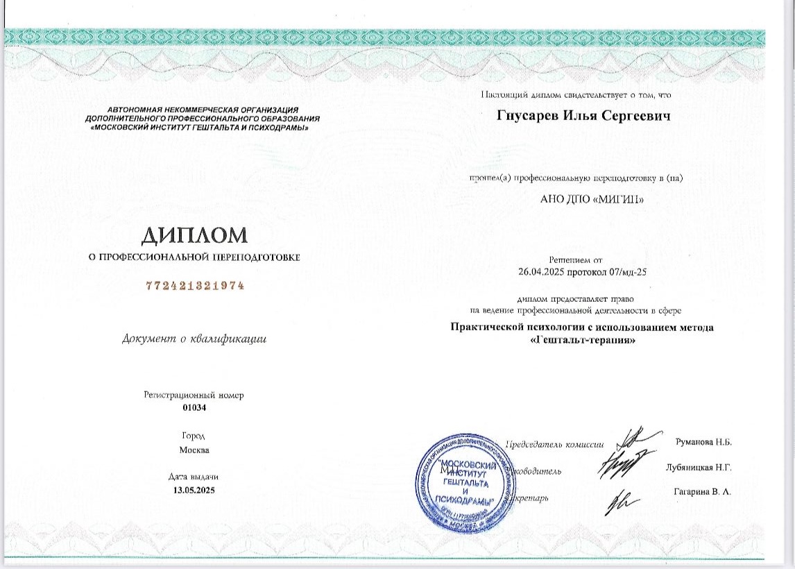 Диплом Ильи Гнусарева